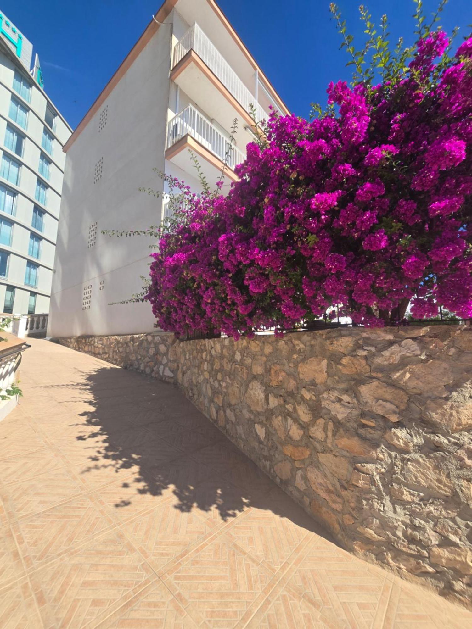 La Cantera Appartement Playa Peñíscola Exterior foto